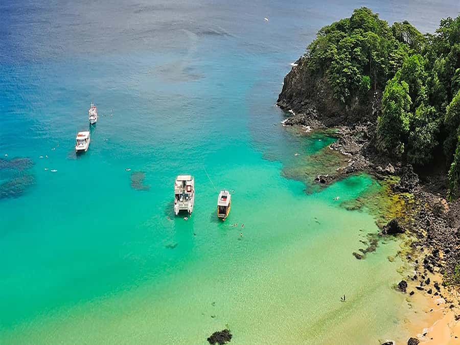 Explore Fernando de Noronha: 7-Hour Ilhatour - What this Fernando de Noronha tour is really like