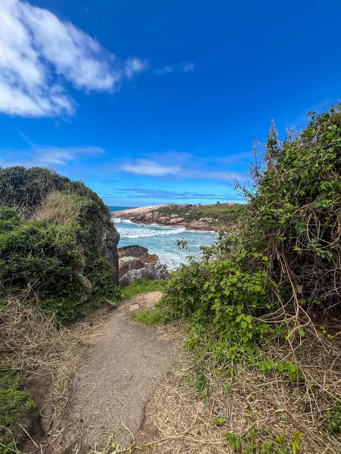 Florianopolis: Gravata Beach Trail with Picnic - Key details before you book