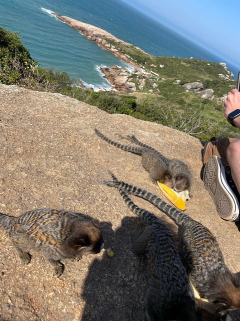 Florianopolis: Gravata Beach Trail with Picnic - A Brazilian picnic beside the bay