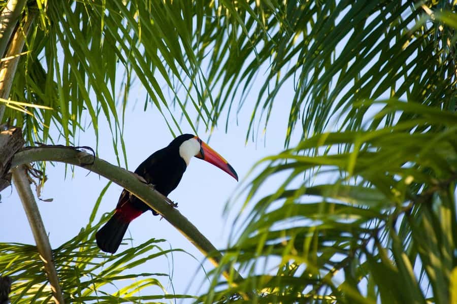 Florianopolis: Lagoinha do Leste Natural Park Hike - What the $80 price gets you