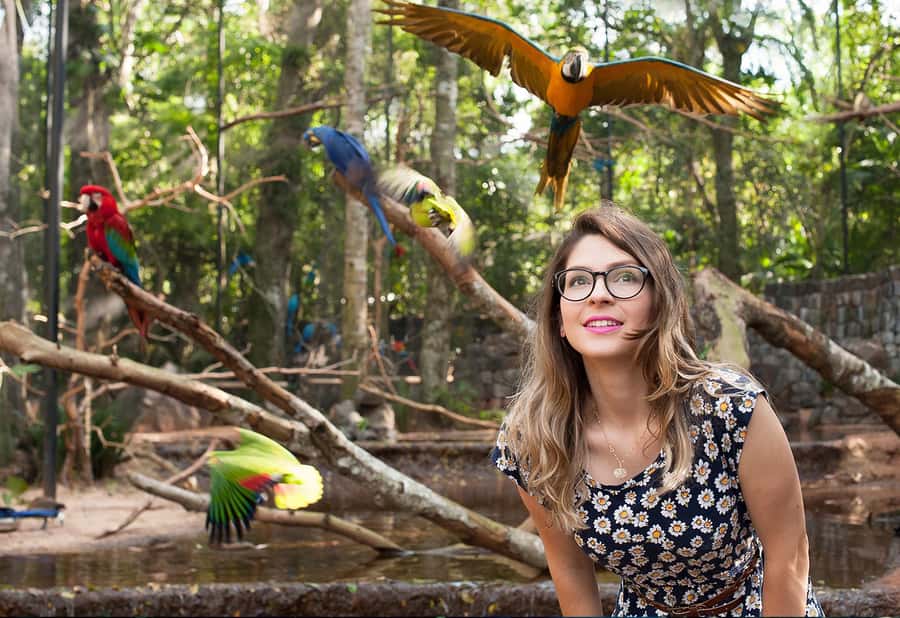 Foz do Iguaçu: Bird Park Tour with Tickets - How the timing works in real life