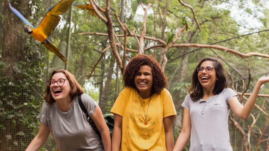 Foz do Iguaçu: Bird Park Tour with Tickets - Starting from your hotel in Foz do Iguaçu