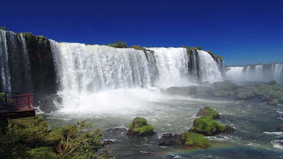 Foz do Iguaçu: Brazilian Side of the Falls + Bird Park - Key points to know before booking