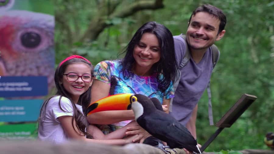 Foz do Iguaçu: Brazilian Side of the Falls + Bird Park - Devil’s Throat and the panoramic elevator