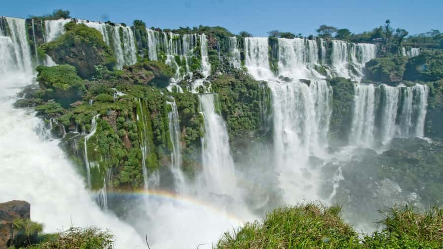 Foz do Iguaçu: Brazilian Side of the Falls + Bird Park - Bird Park: an easy start among more than 500 birds