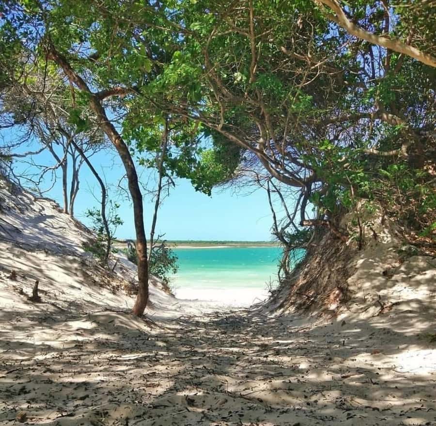 From Fortaleza: Day Trip to Jericoacoara - Jericoacoara village and the sandy streets
