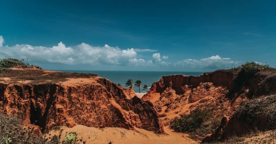 From Fortaleza: Morro Branco, Fontes, & Canoa Quebrada Beach - Guide language and what you should confirm