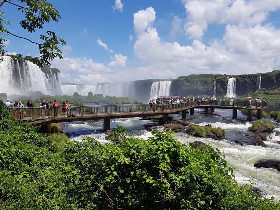 From Foz do Iguaçu: Brazilian Falls and Bird Park Tour - Key points to know before booking