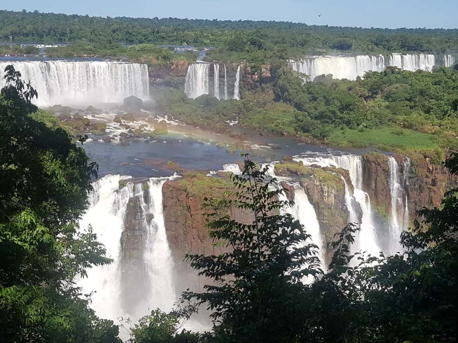 From Foz do Iguaçu: Brazilian Falls and Bird Park Tour - Who should book this Brazilian-side tour?