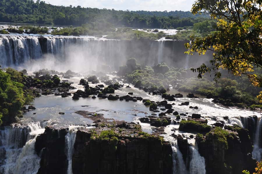 From Foz do Iguaçu: Brazilian Falls and Bird Park Tour - The 11-kilometer ride into Iguazu National Park