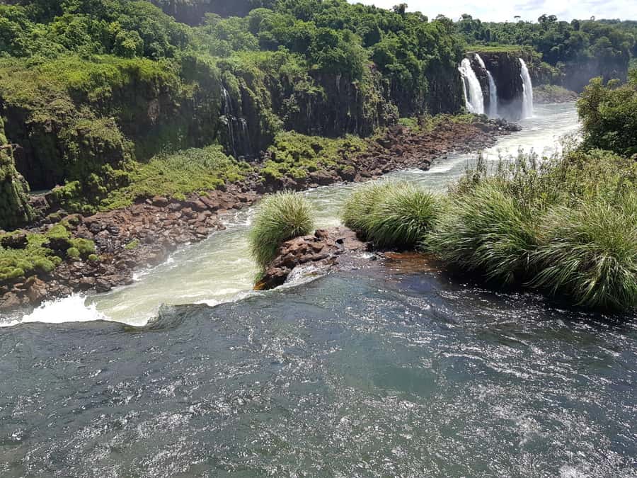 From Foz do Iguaçu: Brazilian Falls and Bird Park Tour - The Brazilian falls trail and the view toward Argentina
