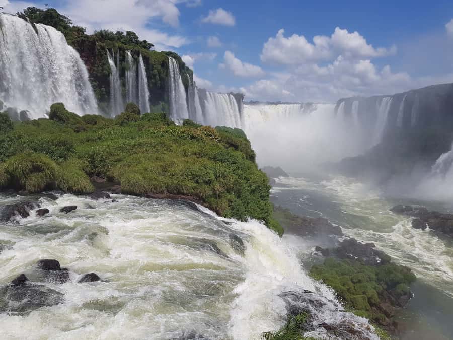 From Foz do Iguaçu: Brazilian Falls and Bird Park Tour - The Bird Park’s shaded Atlantic Forest habitats