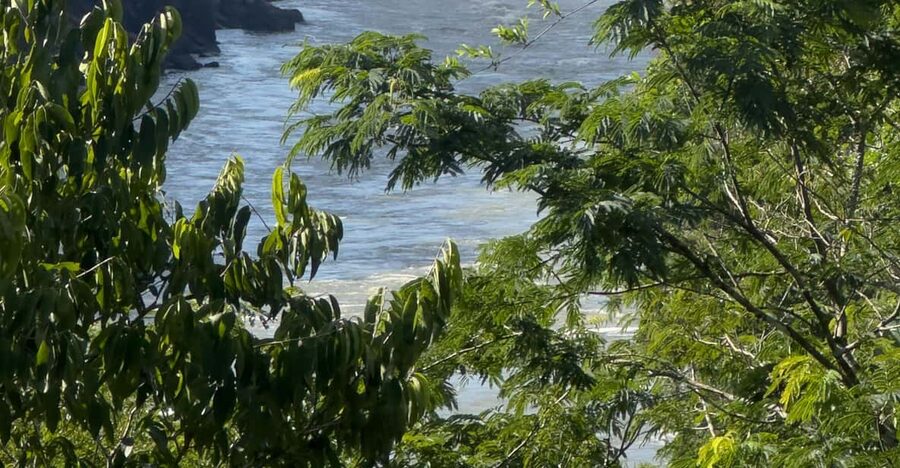from Foz do Iguaçu: Private Tour on Argentinean Falls - Price, tickets, and overall value