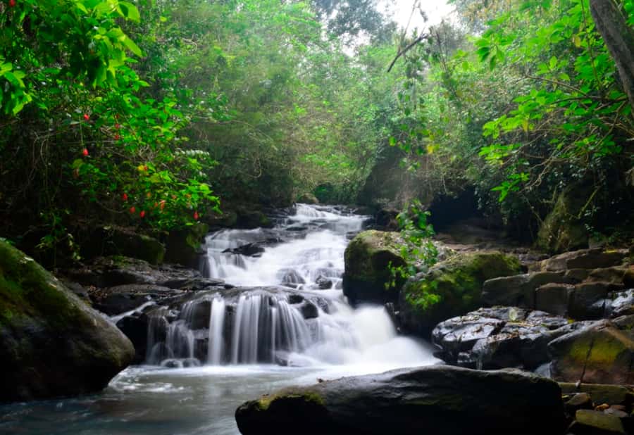 From Foz do Iguaçu: Secret Falls Adventure - Key points to know before you go
