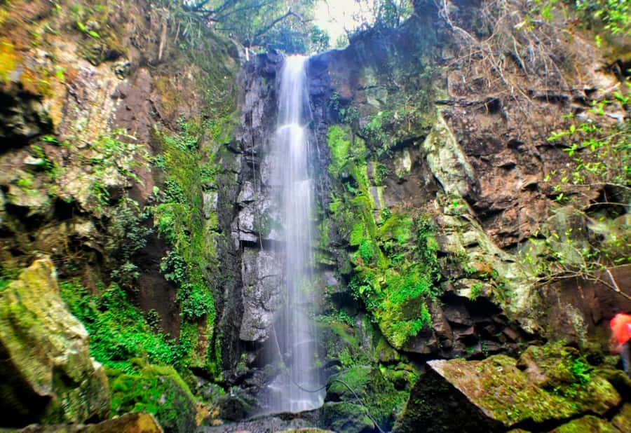 From Foz do Iguaçu: Secret Falls Adventure - Starting at Rua Manêncio Martins