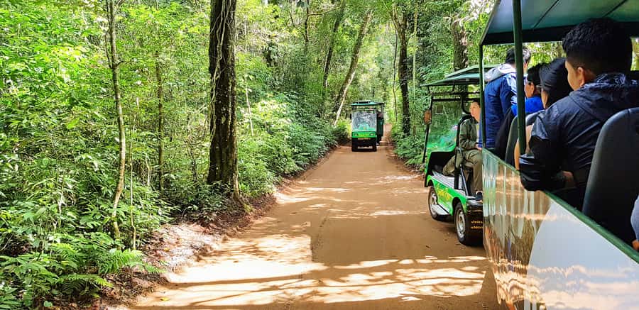 From Foz do Iguazu: Brazil Iguazu Falls & Macuco Safari Boat - What the Macuco Safari boat ride is really like