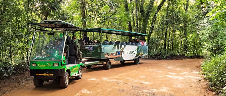 From Foz do Iguazu: Brazil Iguazu Falls & Macuco Safari Boat - Timing, queues, and the cost of convenience