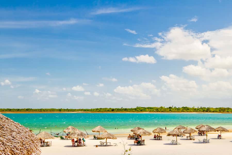 From Jericoacoara: Preá Beach and Paradise Lagoon Tour - Key points to know before booking