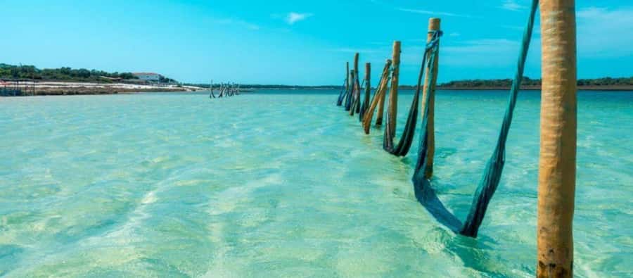 From Jericoacoara: Preá Beach and Paradise Lagoon Tour - Dunes and the final photo stop