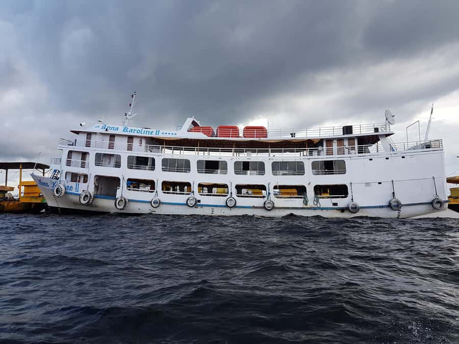 From Manaus: 3 or 4-Day Rio Negro & Anavilhanas River Cruise - Day 1: Janauri trees, lilies, and Acajatuba dolphins