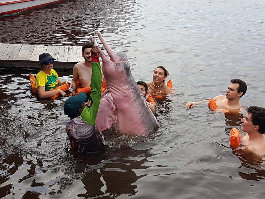 From Manaus: 3 or 4-Day Rio Negro & Anavilhanas River Cruise - Who should choose this Amazon cruise?