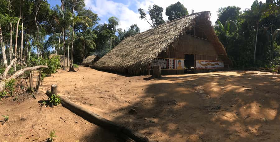 From Manaus: Negro River Half-Day Trip - What the Small Group Really Means