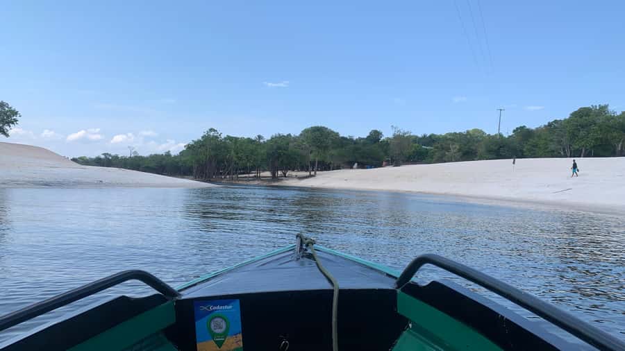 From Manaus: Negro River Half-Day Trip - Who Will Enjoy This Tour Most?