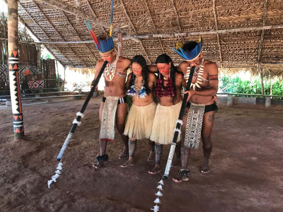 From Manaus: Negro River Half-Day Trip - Meeting an Indigenous Community Near Manaus