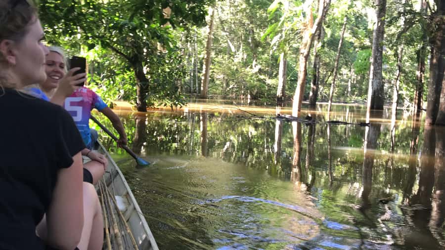From Manaus: One-Day Amazon Jungle Experience - Key points to know before booking