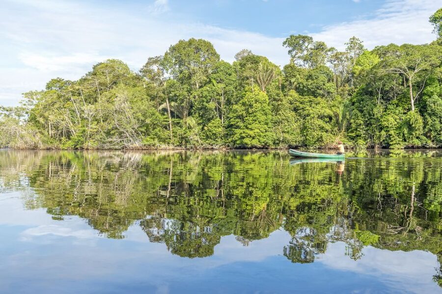 From Manaus: One-Day Amazon Jungle Experience - What the 100 dollar price includes