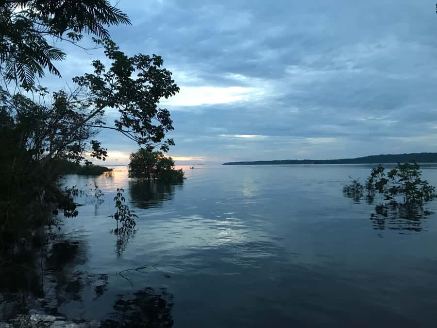 From Manaus: One-Day Amazon Jungle Experience - Why this one-day Amazon trip works so well