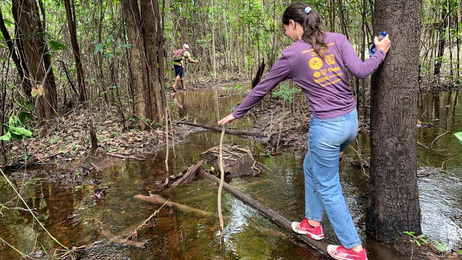 From Manaus: One-Day Amazon Jungle Experience - Walking the forest near Castanho Lake