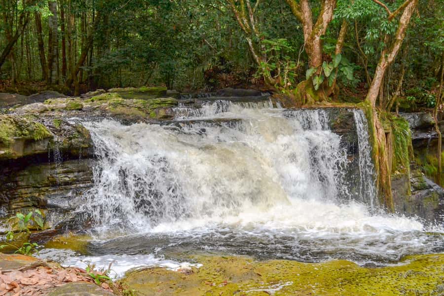 From Manaus: Presidente Figueiredo Waterfalls Daytrip - Who should book this outing