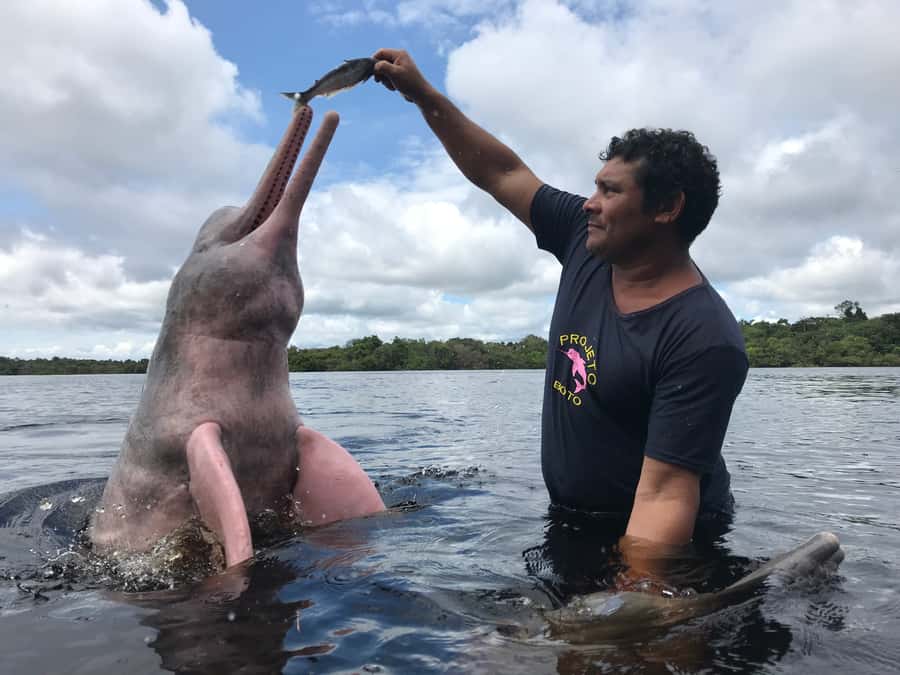 From Manuas: Full-Day River Tour - Feeding and fishing for giant pirarucu