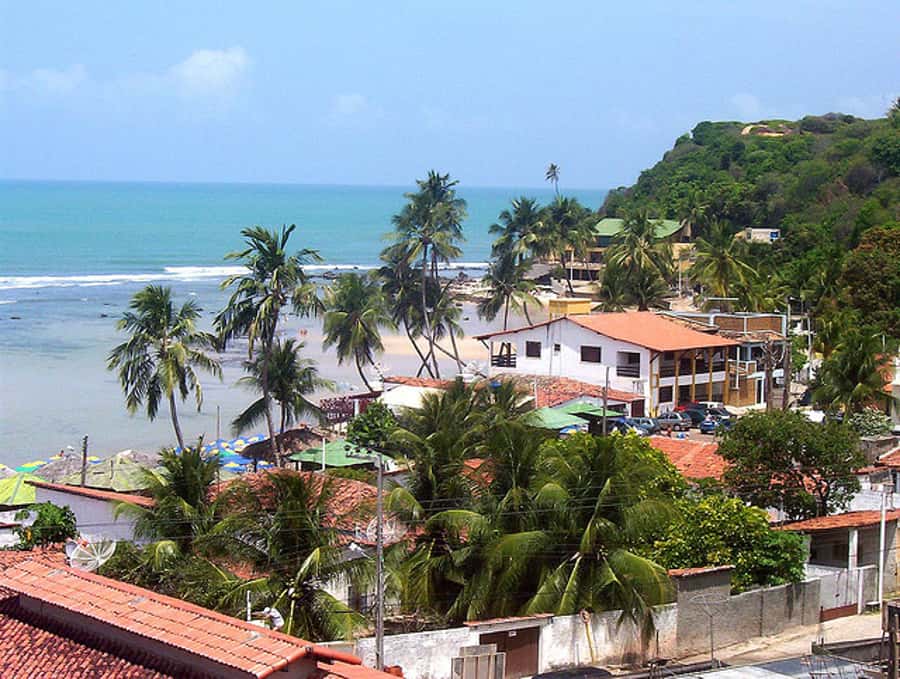From Natal: Pipa, Cacimbinhas, And Love Beach Full-Day Tour - Key points to know before you book