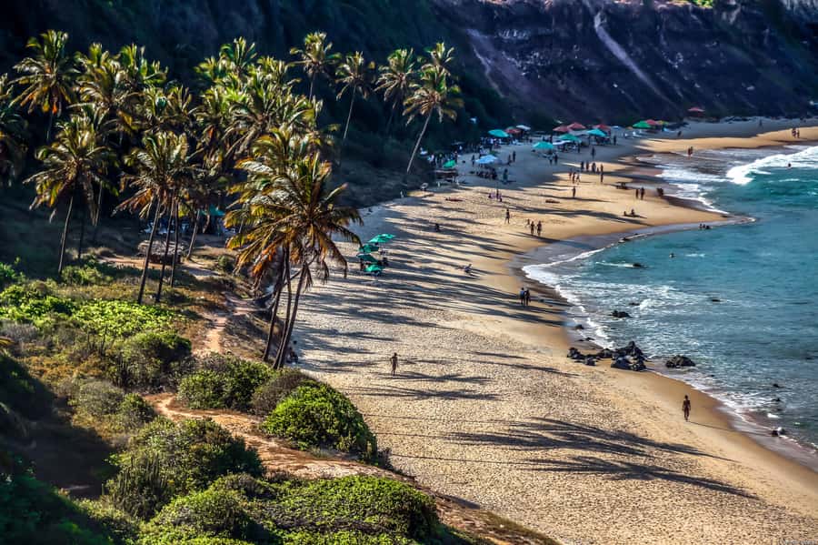 From Natal: Pipa, Cacimbinhas, And Love Beach Full-Day Tour - Dolphins Bay and the tide timetable