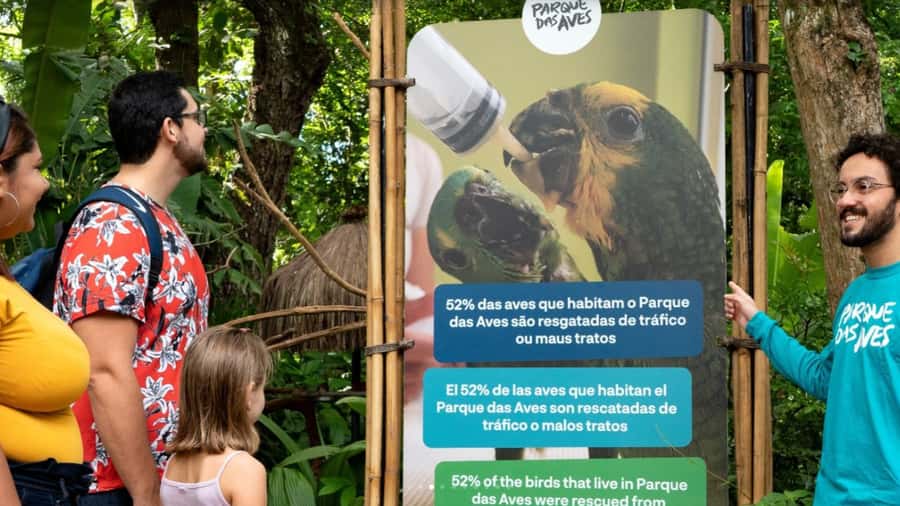 From Puerto Iguazú: Brazilian Bird Park Tour with Tickets - Key points to know before you book