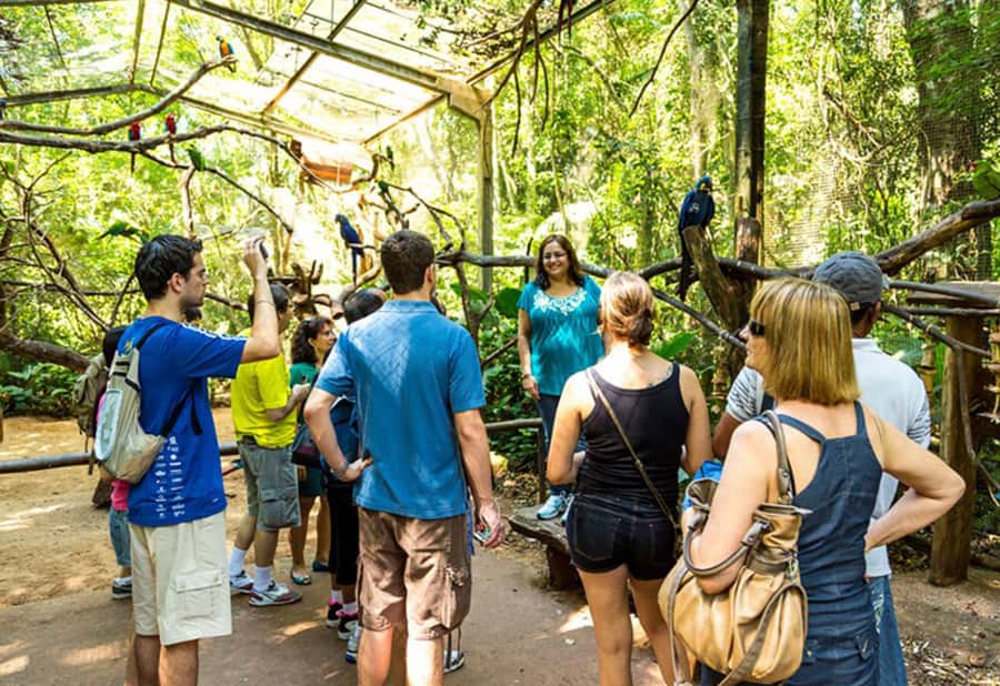 From Puerto Iguazú: Brazilian Bird Park Tour with Tickets - What the backstage upgrade adds
