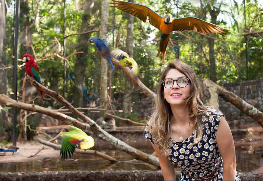 From Puerto Iguazú: Brazilian Bird Park Tour with Tickets - Who will enjoy this experience most?