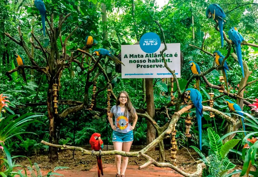 From Puerto Iguazú: Brazilian Bird Park Tour with Tickets - Practical advice for a smoother visit