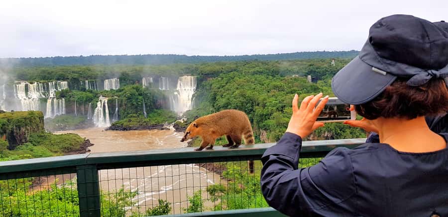 From Puerto Iguazu: Brazilian Falls with Boat Adventure - Why the Brazilian side works so well with a boat ride