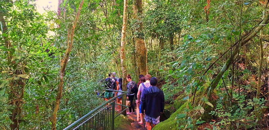 From Puerto Iguazu: Brazilian Falls with Boat Adventure - Adding the Bird Park
