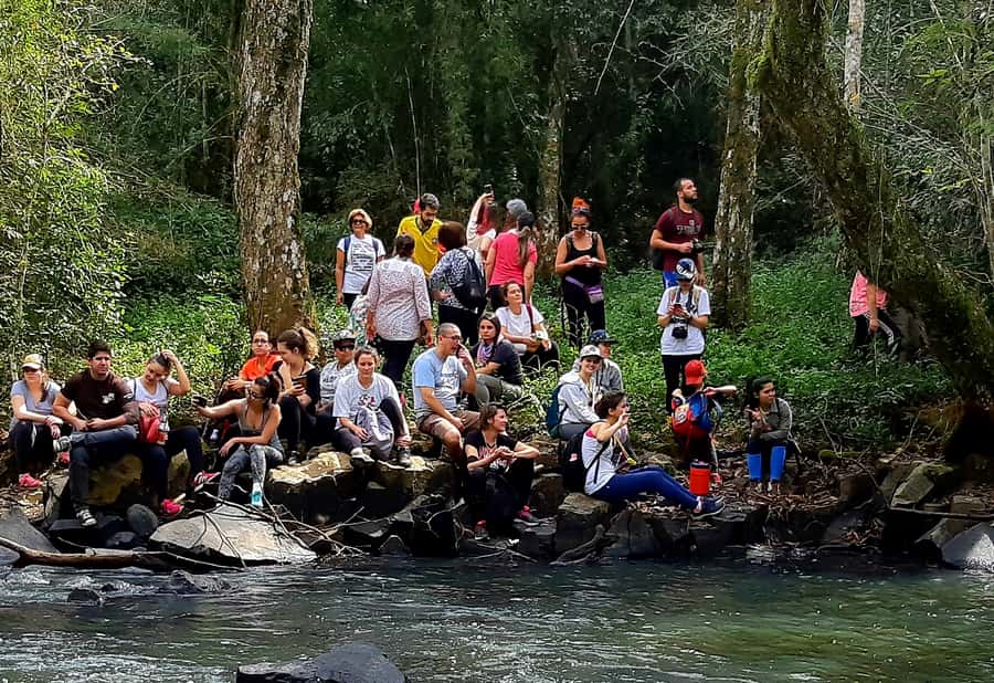From Puerto Iguazu: Secret Falls Adventure - What the $149 price buys you