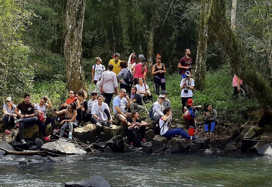 From Puerto Iguazu: Secret Falls Adventure - Who will enjoy this outing most