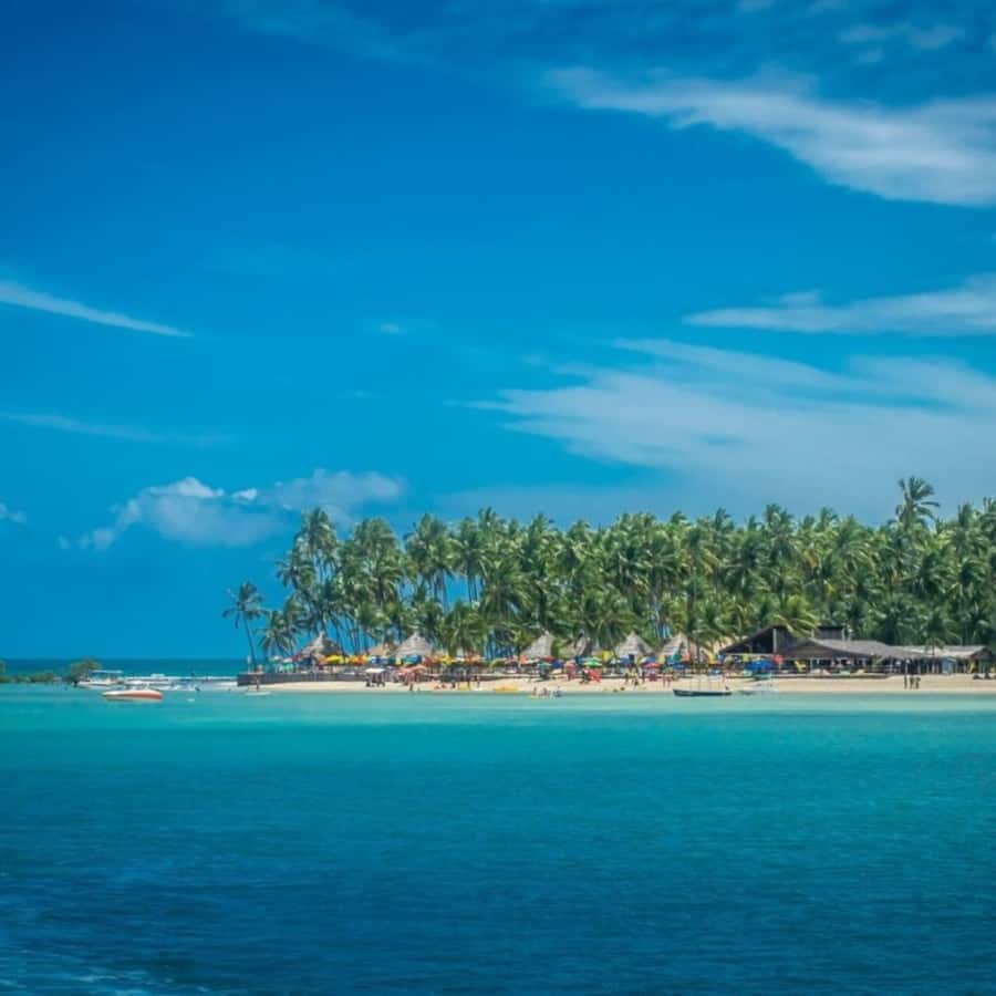 From Recife : Carneiros Beach - Key points to know before booking
