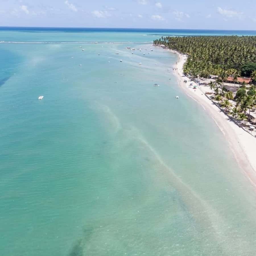 From Recife : Carneiros Beach - Why Praia dos Carneiros makes a strong day trip from Recife