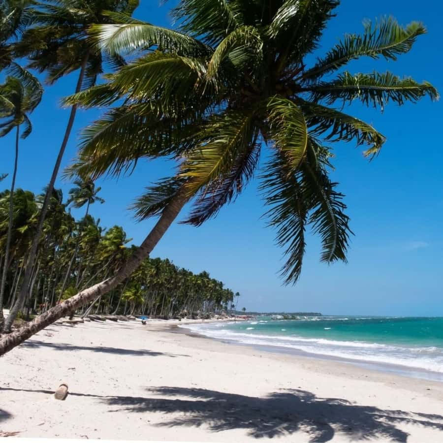 From Recife : Carneiros Beach - Arriving at the beachfront support point