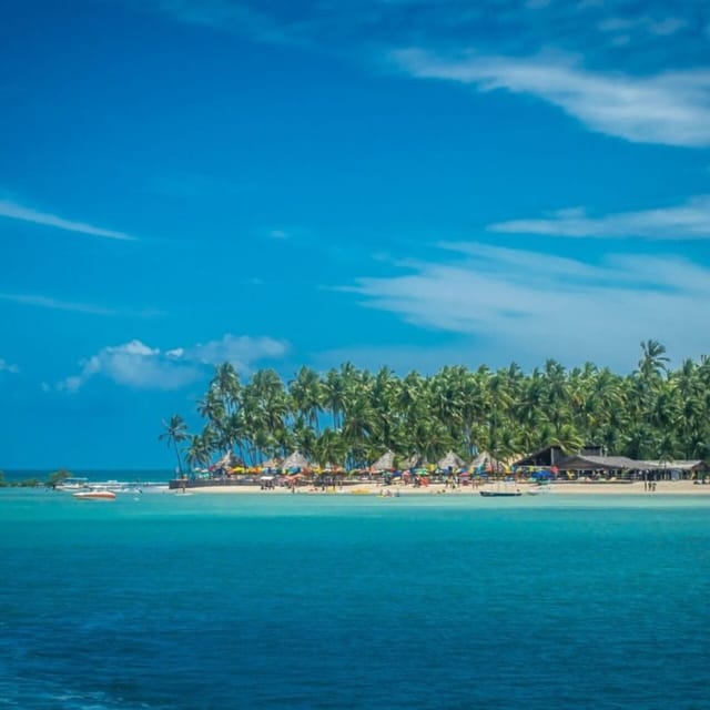 From Recife : Carneiros Beach - Who will enjoy this day most