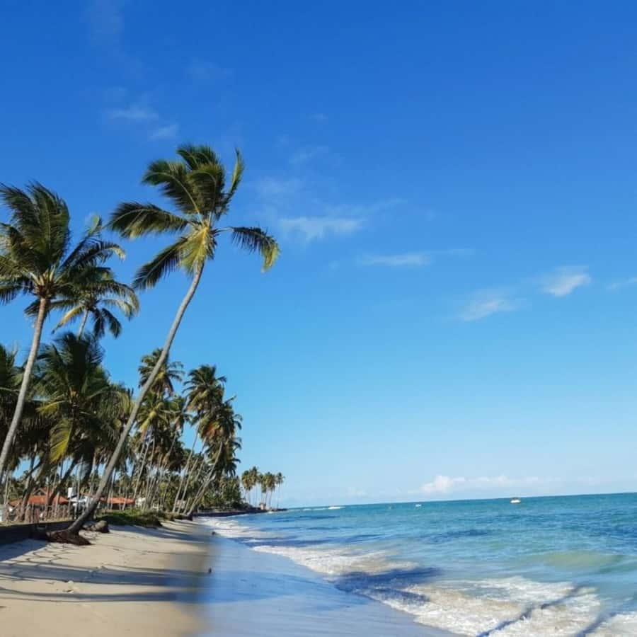 From Recife : Carneiros Beach - The early hotel pickup from Boa Viagem and Piedade
