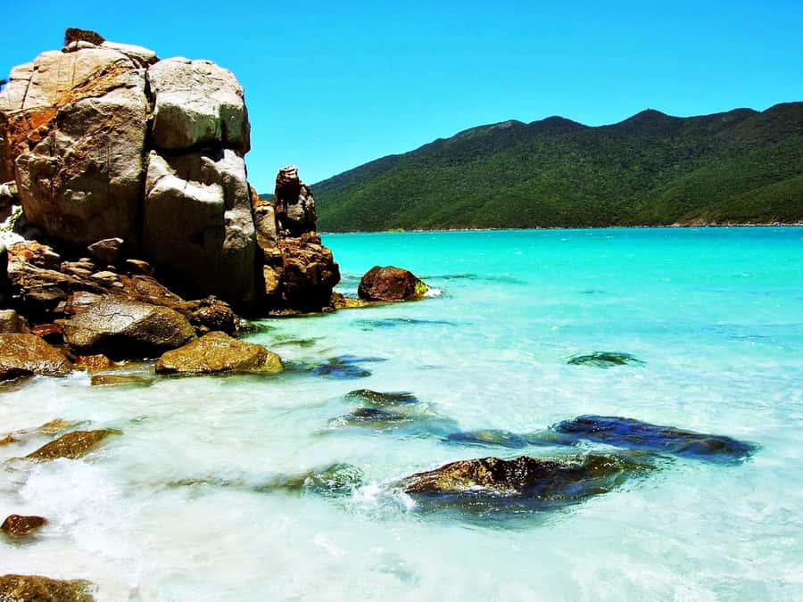 From Rio: Arraial do Cabo - The Brazilian Caribbean Daytrip - Buffet lunch and free time in town